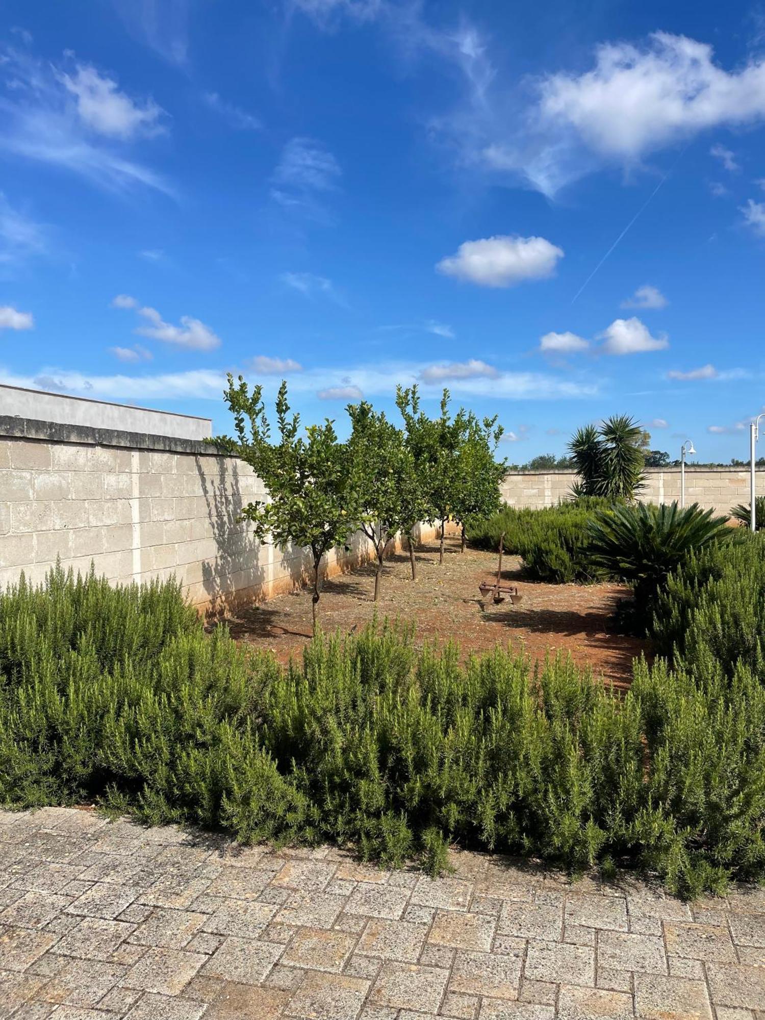Masseria Don Bonifacio Castellana Grotte Buitenkant foto